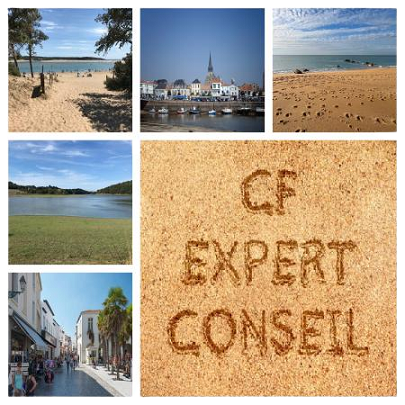 CF EXPERT COMPTABLE cabinet d'expertise comptable vendée